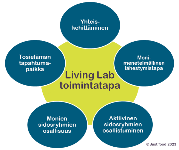 Living Lab toimintatapa